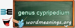 WordMeaning blackboard for genus cypripedium